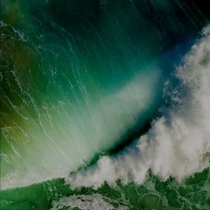 Meet your Posher, Jay